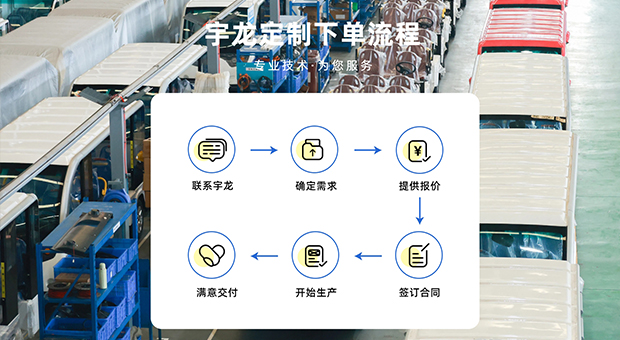 新能源觀光車 新能源觀光車